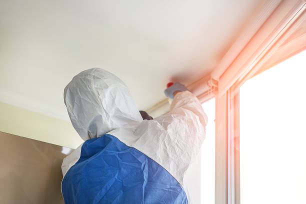 Best Emergency Mold Remediation  in Locust Valley, NY