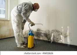 Best Mold Prevention Services  in Locust Valley, NY